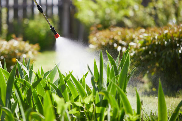 24/7 Emergency Ant Control experts in Davie, FL