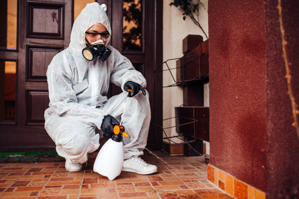 Reliable Ant Control contractor in Davie, FL by Show Me Pest Control